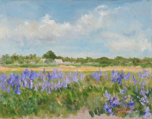 Lupine Field Zohn Property